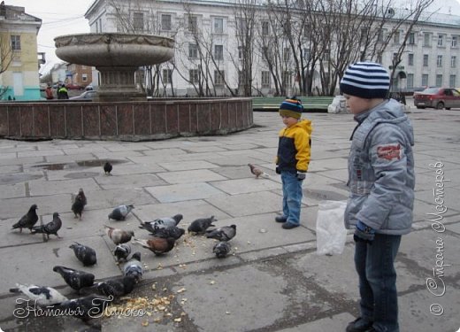 И даже серой поздней осенью мы часто ходим к фонтану гулять, чтобы покормить бедных, замерзающих птичек... (фото 30)