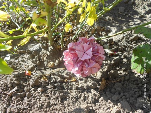 Kusudama Primrose (фото 3)