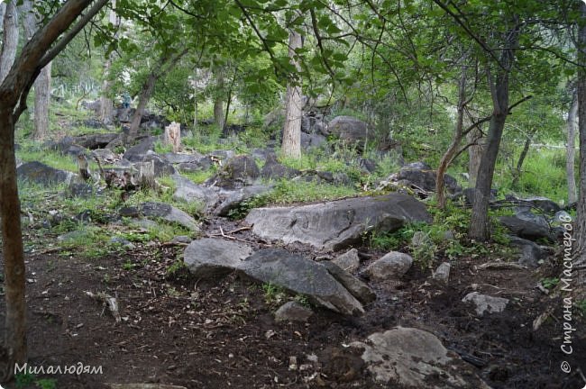 идем в гору. И всюду камни, камешки, камнищи.. (фото 76)