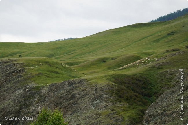 Инегень и старая дорога.2016. (фото 15)