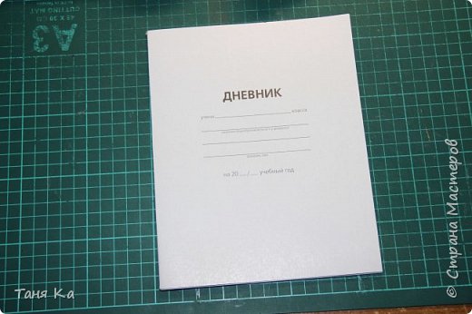 Начнем)
Купили в магазине самый обычный дневник за 12 руб. вроде. (фото 3)