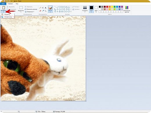 Фотография открылась в графическом редакторе "Paint". Теперь давайте вставим логотип на эту картинку. Для этого сверху слева есть вкладка "Вставить" жмем на маленький треугольник снизу, выбираем "Вставить из". Щелкаем. (фото 3)