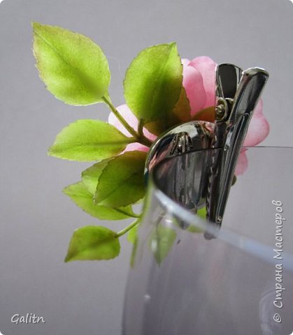 Цветок Кадупул или «Королева ночи» (фото 9)