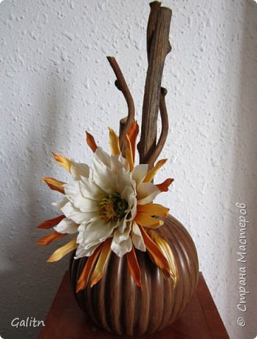 Нежный цветы Кадупула имеют удивительный странный аромат и тонкие белые лепестки, напоминающие пёрышки. В Японии этот цветок называют «Красота луны». Этот цветок – кактусовый, он расцветает только ночью. Его жизнь длится всего несколько часов после срезания, поэтому он не продается ни в одном магазине. (фото 2)