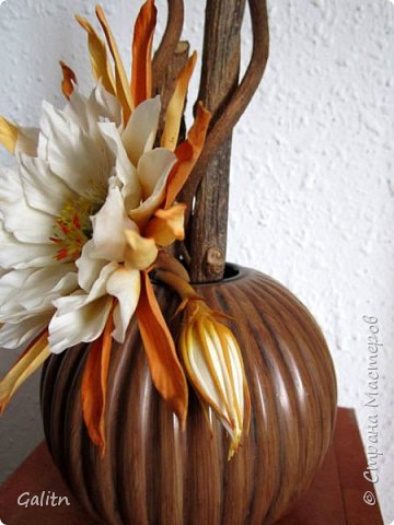 Кадупул или «Королева ночи» – это цветок, который никто и никогда не сможет купить. Этот цветок бесценен не только потому, что он встречается очень редко, но и потому, что эти удивительные цветы просто невозможно сорвать, не повредив их. К тому же, цветение Кадупула длится всего одну ночь, до рассвета он умирает.  (фото 3)