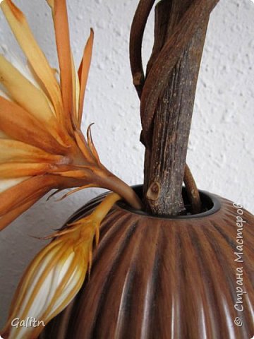 Цветок Кадупул или «Королева ночи» (фото 4)