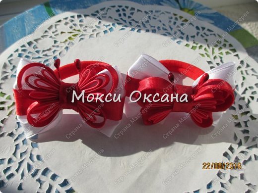 Еще бабочки (фото 2)