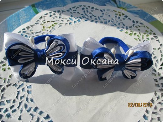 Еще бабочки (фото 4)