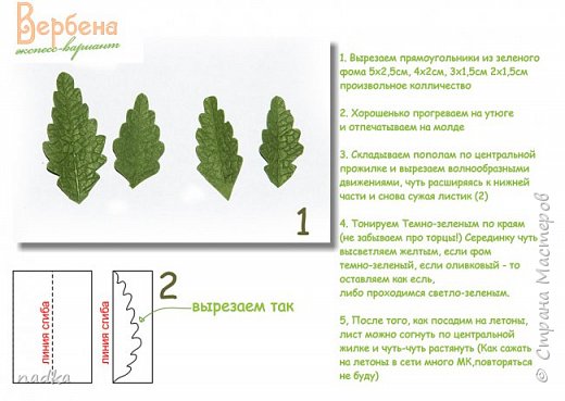 https://morgoth.ru/image/TjS - картинка побольше. 
1. Вырезаем прямоугольники из зеленого фома 5х2,5см, 4х2см, 3х1,5см 2х1,5см произвольное колличество

2. Хорошенько прогреваем на утюге и отпечатываем на молде

3. Складываем пополам по центральной прожилке и вырезаем волнообразными движениями, чуть расширяясь к нижней части и снова сужая листик (2)

4. Тонируем Темно-зеленым по краям (не забываем про торцы!) Серединку чуть высветляем желтым, если фом темно-зеленый, если оливковый - то оставляем как есль, либо проходимся светло-зеленым.

5, После того, как посадим на летоны, лист можно согнуть по центральной жилке и чуть-чуть растянуть (Как сажать на летоны в сети много МК,повторяться не буду)

 (фото 13)