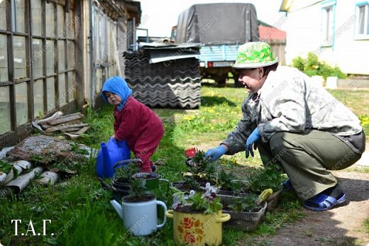 Помогал бабушке, т.е. мне, садить цветочки, (фото 9)