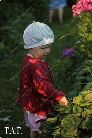 Чем же занимался Витальчик?
Собирал и  (фото 2)