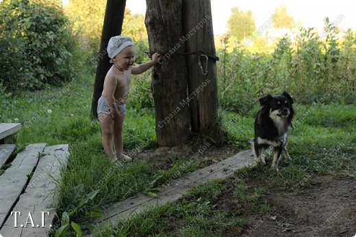  Лето в деревне...или в гостях у дедушки и бабушки... (фото 23)