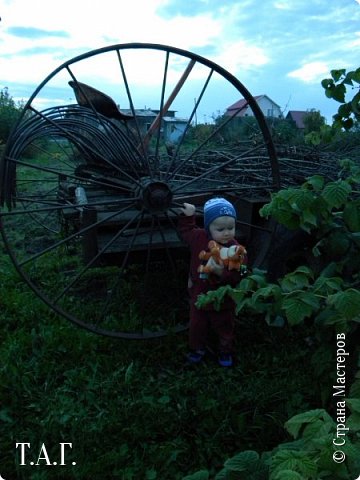  Лето в деревне...или в гостях у дедушки и бабушки... (фото 34)