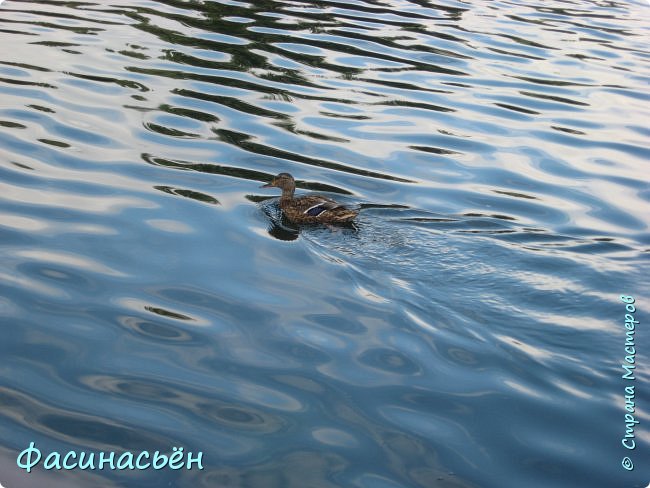 Прогулка по аллее Славы. (фото 17)