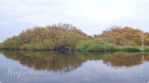 В начале октября выдалась хорошая погодка на выходных, и муж с товарищем поехали на речку Девятка на рыбалку. (фото 1)