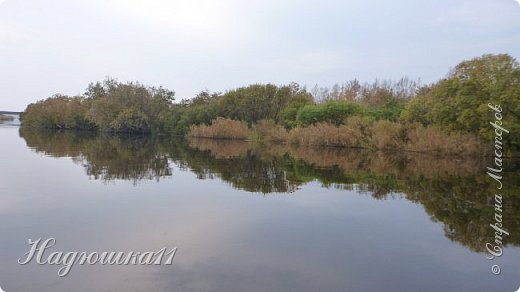 Не любитель я рыб, вернемся к природе (фото 29)