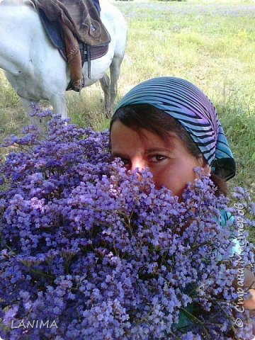 а это всем букет полевых цветов для хорошего настроения! (фото 12)