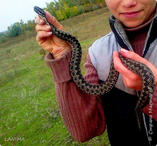 но потом даже согласился на руках паобщаться (фото 2)