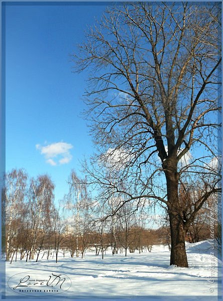 Поздравляю всех жителей Страны Мастеров с началом зимы! :-) (фото 2)