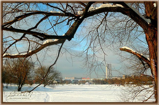 Поздравляю всех жителей Страны Мастеров с началом зимы! :-) (фото 3)