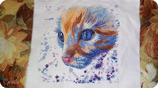 Зимняя котейка
