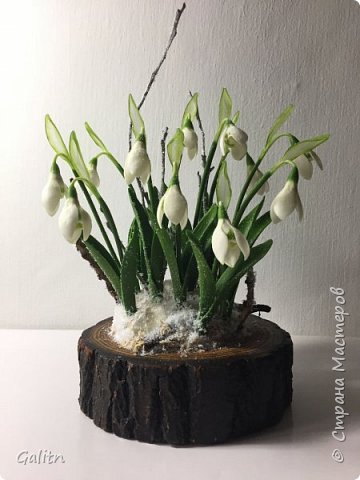 Всех с наступающим Новым Годом!!! Счастья. здоровья. мира и добра!!!
      Одно лишь упоминание о подснежниках вызывает теплое чувство. Они представляются нам предвестниками весны, её ласковой и волшебной улыбкой.Изящные, нежные, тоненькие, но вместе с тем и необычайно смелые и сильные эти цветы. Первыми мужественно вступают они в единоборство с зимой, появляясь среди снегов.
Говорят, что если хорошо прислушаться, то можно услышать звон этих маленьких колокольчиков, которые словно будят от зимней спячки остальные цветы. (фото 1)