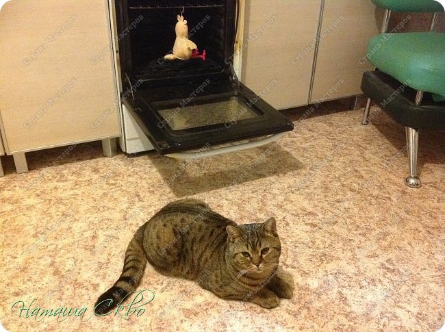 Завидую терпению своего кота!
И в этом он лучше меня!))) (фото 18)