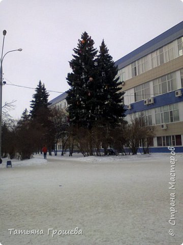 Вот она, наша елочка-красавица :))) (фото 6)