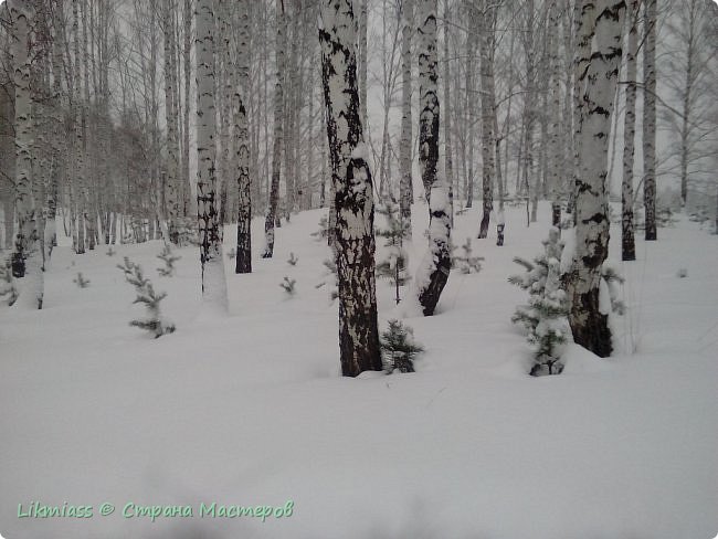 Всем приятных святок.  (фото 26)