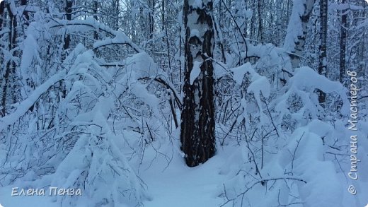 Какая красота! (фото 12)