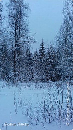 Это самые свежие фотографии, после прошлого снегопада (фото 11)