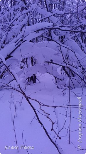 В этом году погода балует нас снегом! Конечно, такое нельзя пропускать! (фото 1)