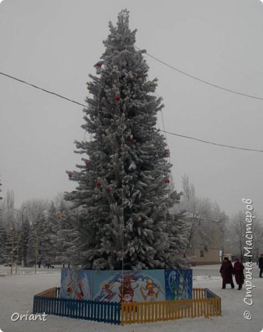 А это наша красавица -городская елка. Жалко, что скоро разберут.... (фото 20)