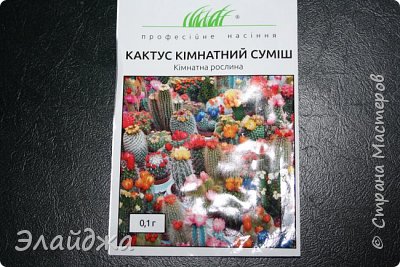 Там-там! Это семена разных кактусов! Не было семян   моих живых камушков , про них я рассказывала тут (https://podjem-tal.ru/node/1083581) Вот я решила попробовать вырастить цветушие маленькие миниатюрные кактусы. Тем более что цветут они необычно, и уход не сложный.  (фото 12)