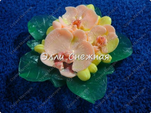 Весна идет, весне дорогу... (фото 6)