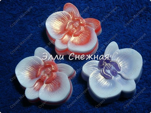 Весна идет, весне дорогу... (фото 3)