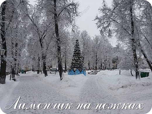 Самая настоящая новогодняя картинка, хоть на открытку печатай! (фото 11)