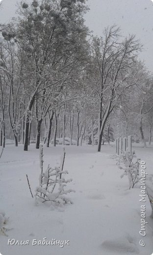 Харьков 19 апреля и снова зима. (фото 2)