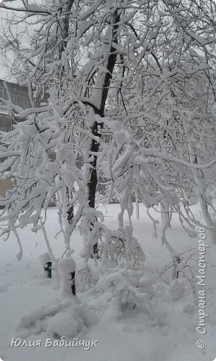 Харьков 19 апреля и снова зима. (фото 6)