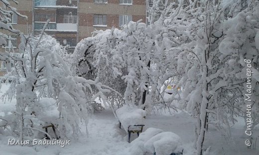 Харьков 19 апреля и снова зима. (фото 10)