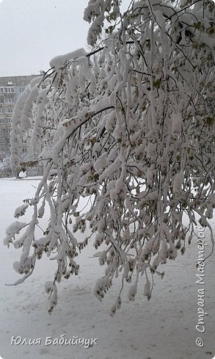 Харьков 19 апреля и снова зима. (фото 19)