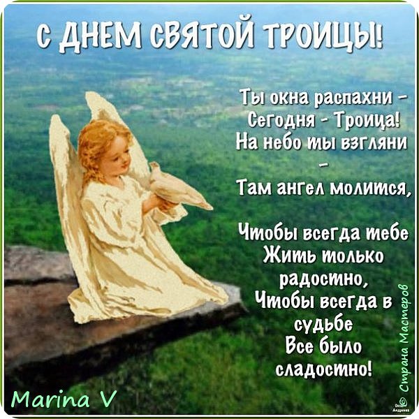 Мопс)  (фото 16)