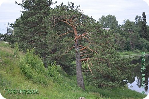 Кругом красивый вид на реку Лузу. (фото 7)