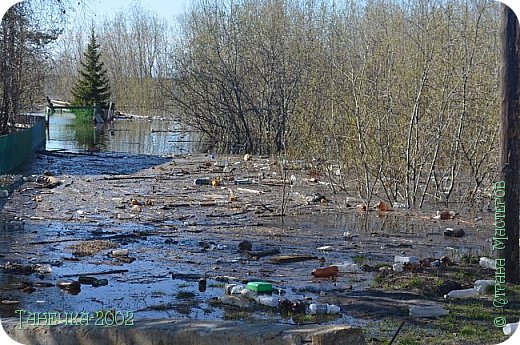 А это культура нашего населения.......как говорится "без комментариев"......... (фото 21)