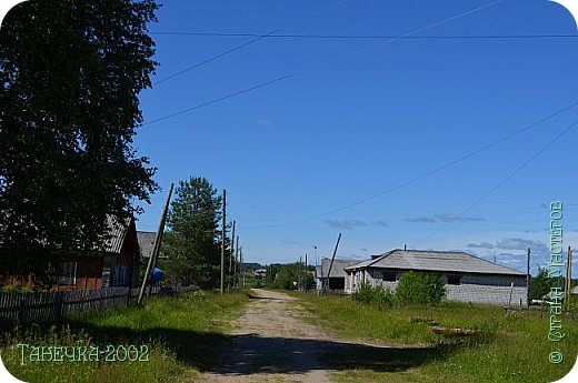 По селу уже мало ездит техники, дороги зарастают. (фото 25)