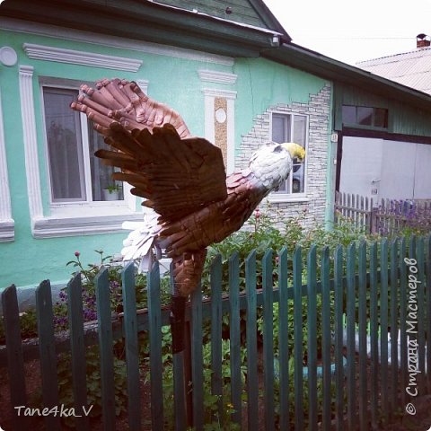 Мой красавец!! Делала я его, не соврать бы два лета, вот итог? (фото 1)