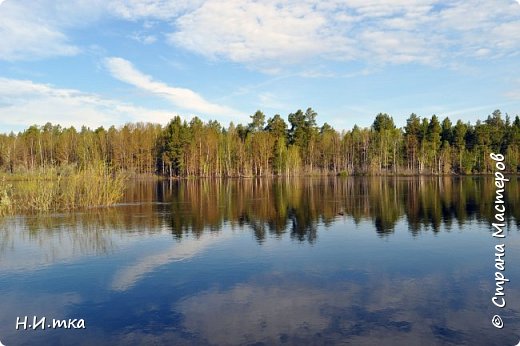 Посмотрите, полюбуйтесь её красотой! (фото 7)