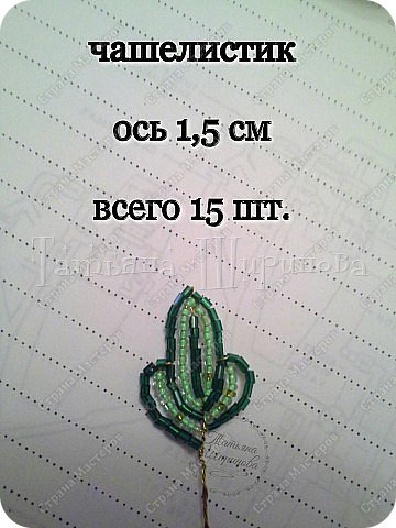 Георгин Анжела МК (фото 16)