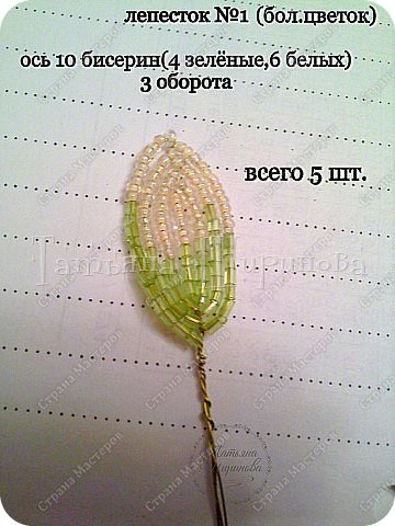 Георгин Анжела МК (фото 5)