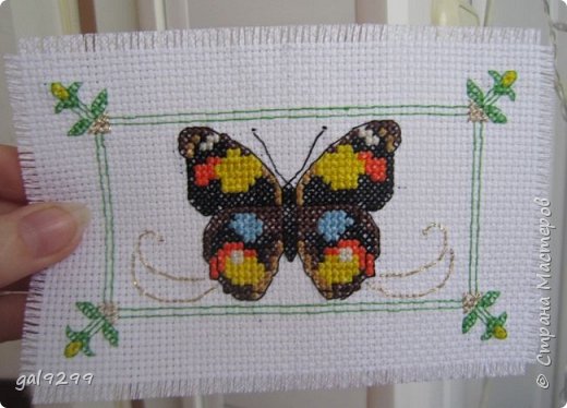 Экзотическая бабочка. Схема из Журнала Cross Stitcher Card Shop. Подарок на 8 марта. Вышивка была приклеена на шампанское, как этикетка. (фото 8)